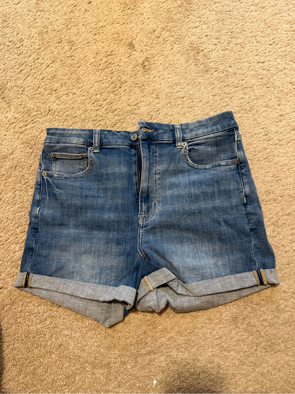 NWT Curvy Short